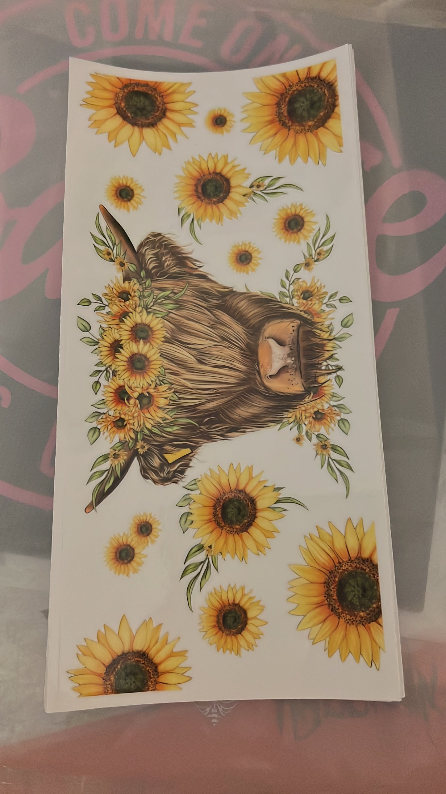 16- Sunflowers